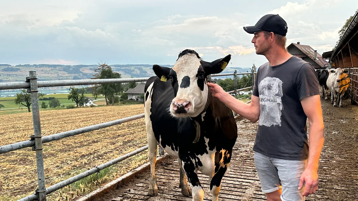 Gespür für Kühe Philipp Furrer.jpeg Ein Gespür für die Kühe. Philipp Furrer hat schweizweit den höchsten Betriebsdurchschnitt mit über 15000 kg Milch pro Kuh.