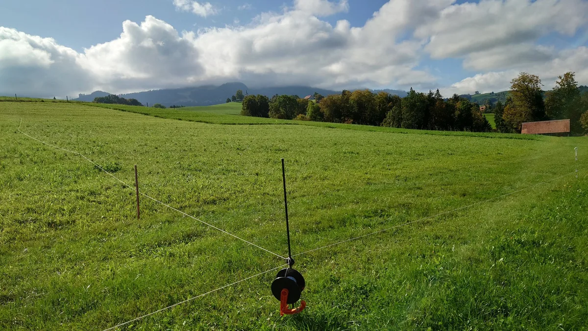 Portionenweide Weiterhin kräftiges Graswachstum in Aussicht