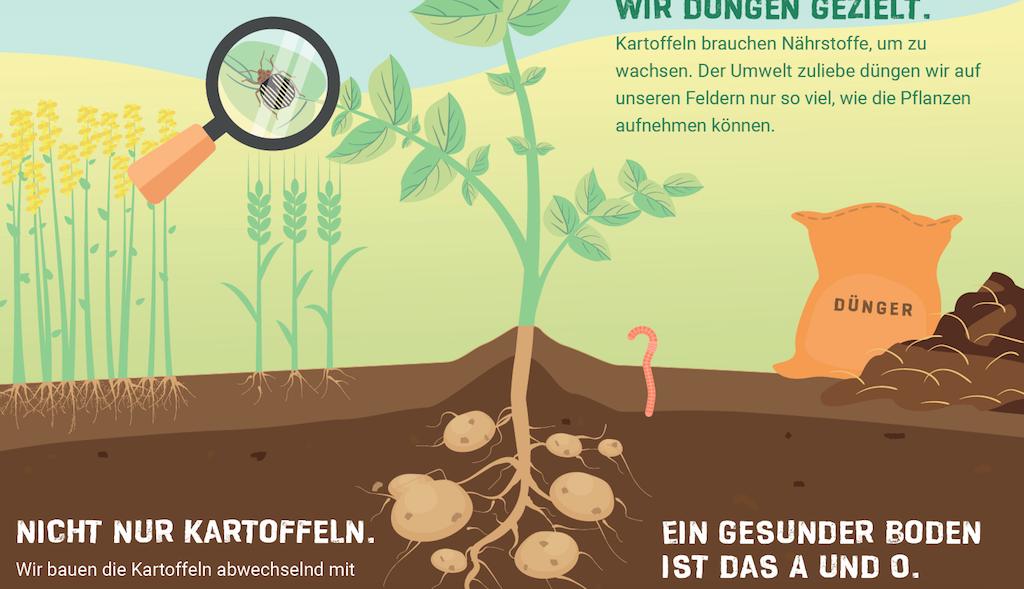 Die Tafeln sollen den Konsumenten die Kartoffel näher bringen. (Bild Swisspatat)