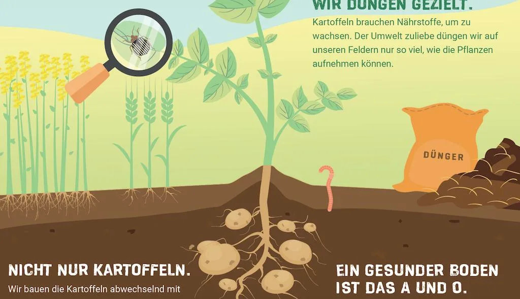1c27311ad50d525dcb78c23f24fb593f03edba93 Die Tafeln sollen den Konsumenten die Kartoffel näher bringen. (Bild Swisspatat)
