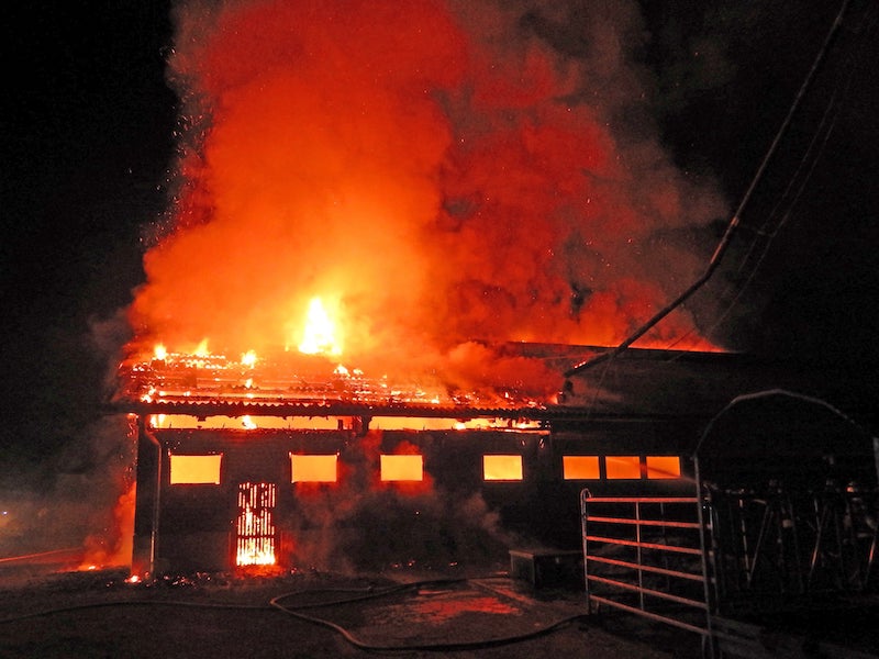 Beim Brand des Freilaufstalls entstand erheblicher Sachschaden (Bild Kapo TG).