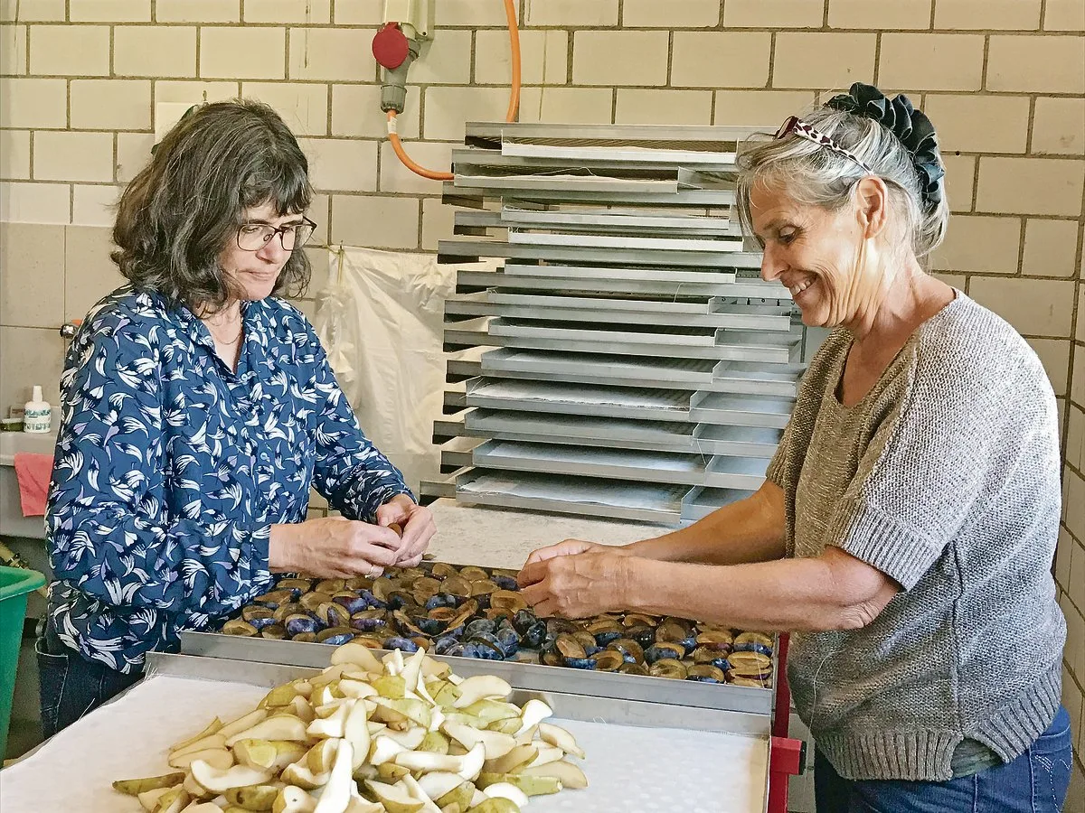 79264275059ef7e8be0628b40067bae8e264cd11 Während der Erntesaison läuft der Dörrbetrieb auf Hochtouren: Karin William (links) und Gaby Michel verteilen die Früchte auf die Bleche.(Bilder Alexandra Stückelberger)