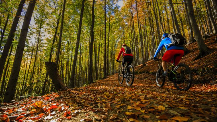 Biker im Wald