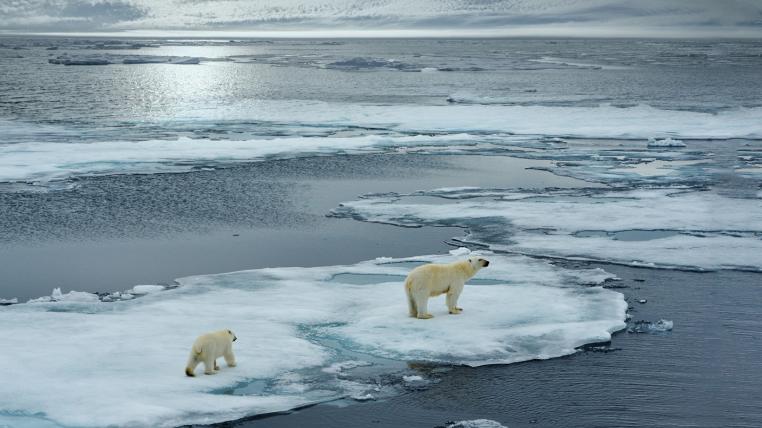 klimawandel-eis-artkis.jpg