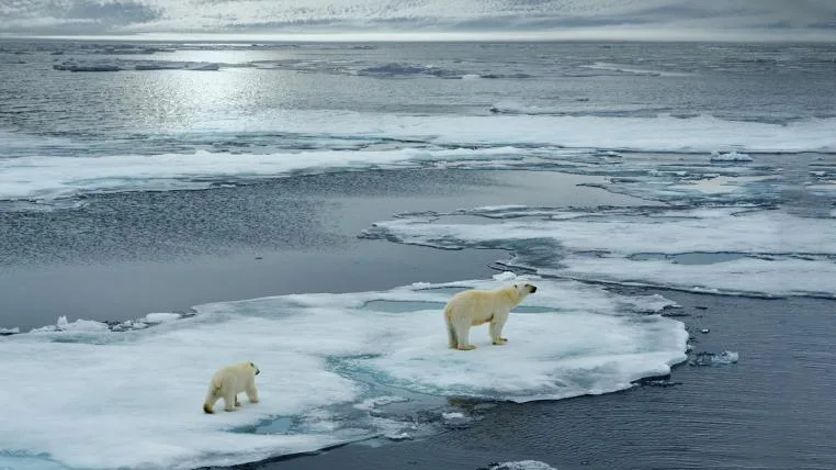 d7e0bc4f1c5308219a67e4b751bf0c21aeffe4d1 klimawandel-eis-artkis.jpg