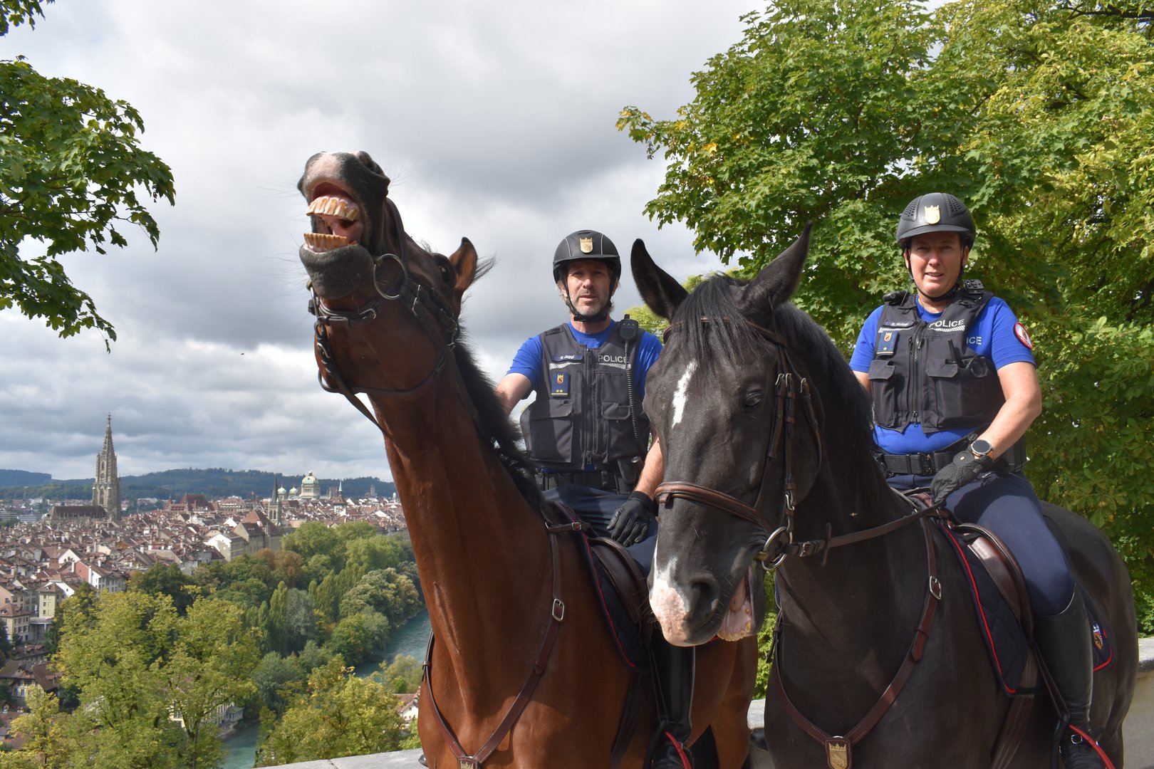 Polizeiarbeit zu Pferd: Mit dem Reiterzug der Kantonspolizei Bern auf Patrouille