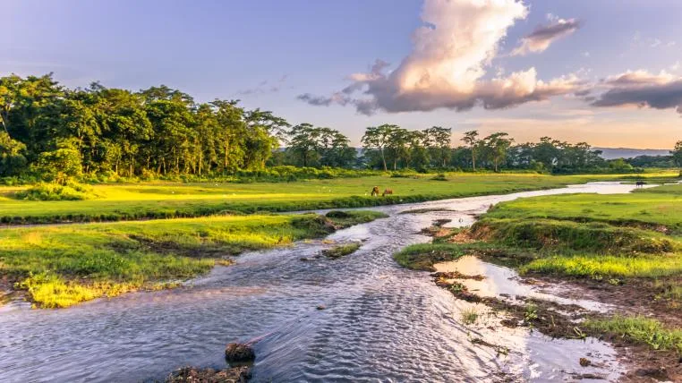 adb3f4e126b6c6986a22d7ec34789333c825f3e9 Chitwan-Nationalpark in Nepal