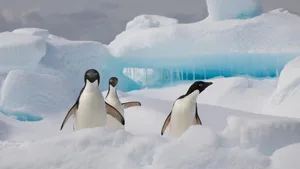 Von wegen unberührte Wildnis: Im Eis der Antarktis finden sich Kunststoffe, im Wasser Mikroplastik.