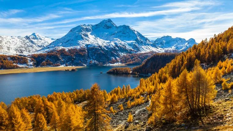 fb71c274bed8c943fd0cce00d9e93e5f53ebf5e7 Lärchen im Herbst mit gelben Nadeln im Engadin
