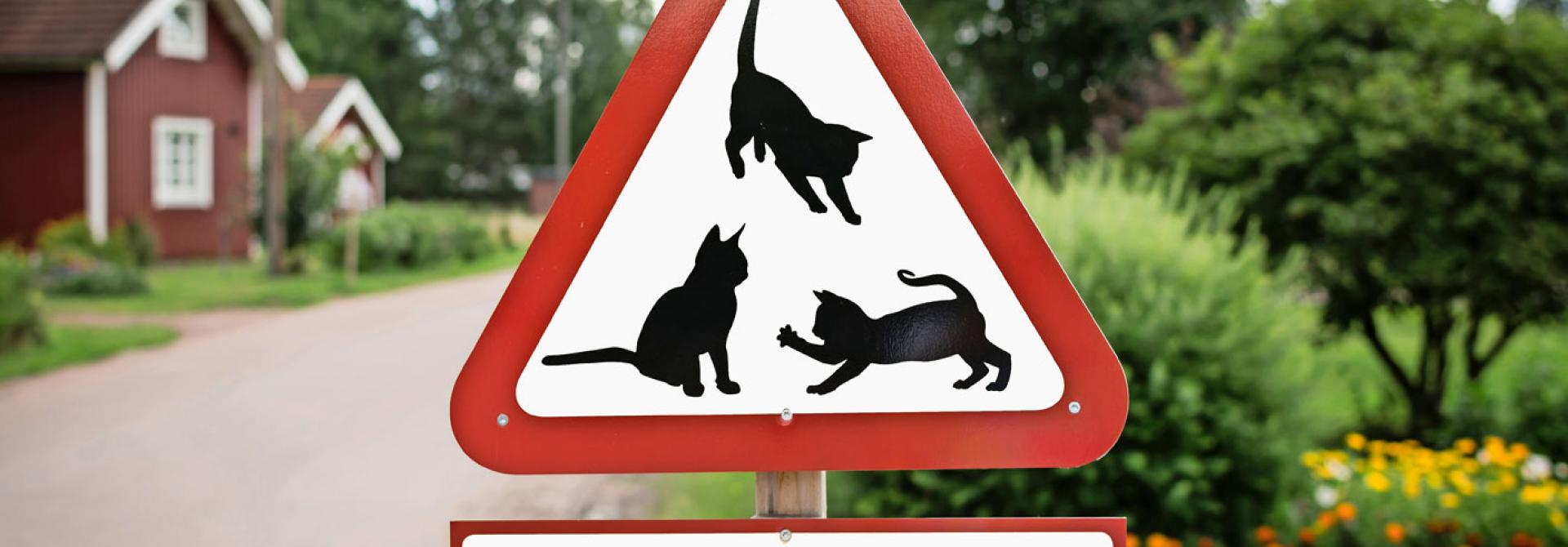 Achtung Katze Schild