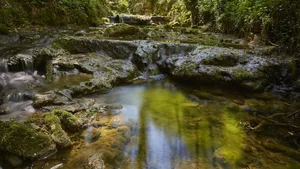 Rund ein Drittel der Fläche des Kantons Aargau besteht aus Wald (auf dem Foto: der Reinerbach auf dem Bözberg).