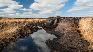 Torfgebiete wie hier in Irland spielen für das globale Klima eine wesentliche Rolle.