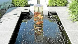 Die Plexiglasröhre wirkt wie eine Lupe und lässt Fische grösser aussehen.