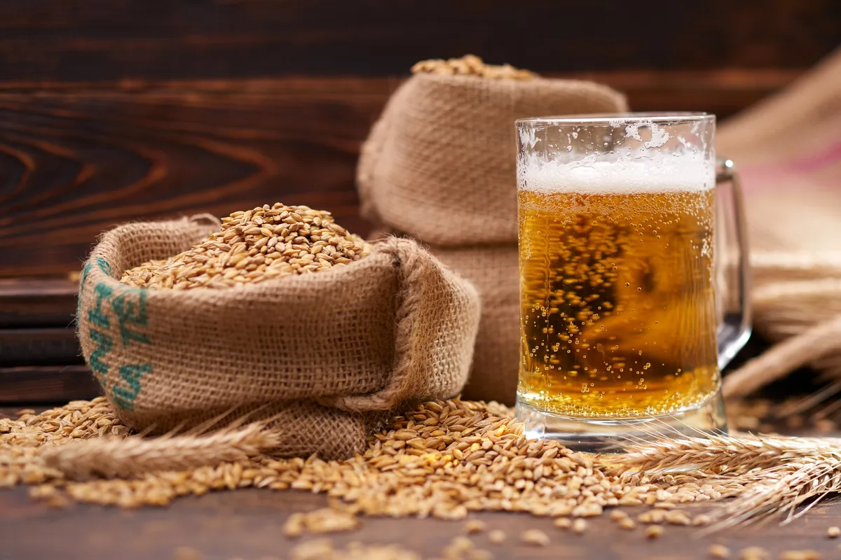 shutterstock_2141133569 In Bier verpackt: Biologisch abbaubares Verpackungsmaterial aus Malz