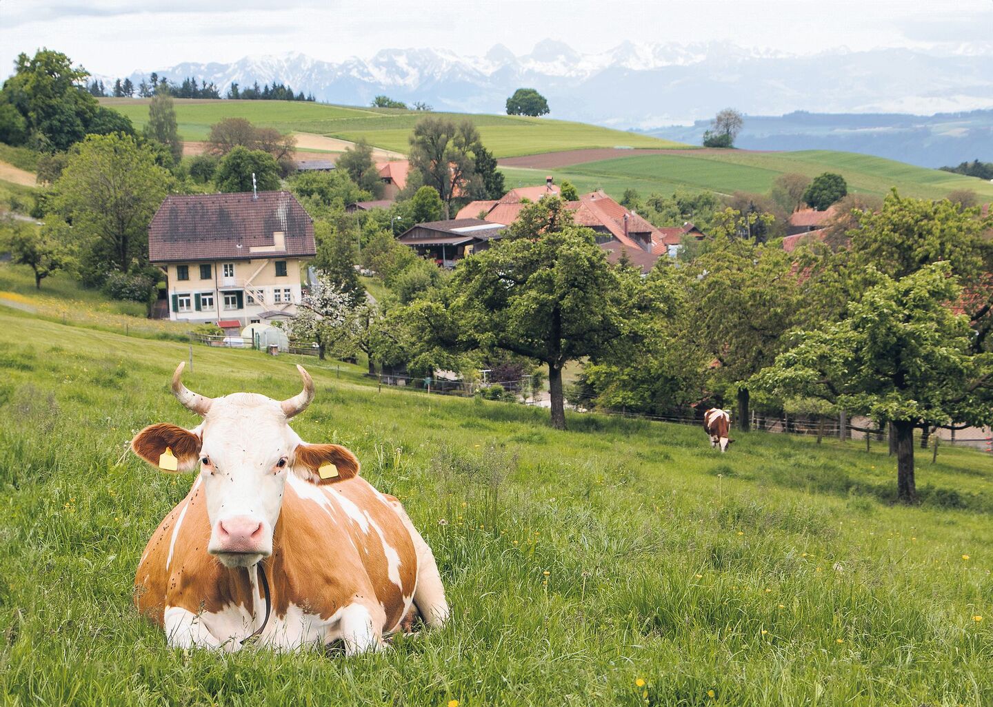 Bauer sucht Zukunft