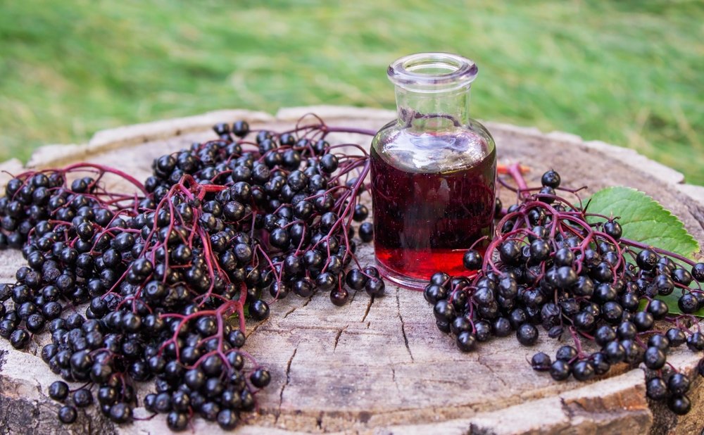 Holunderbeeren: dunkel, aromatisch und vielseitig
