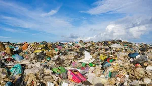 Rund 80 Prozent allen Plastiks landet auf Müllkippen.