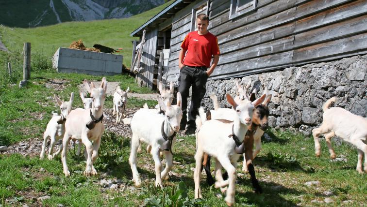 Jung-Ziegenhirte Adrian Mäder