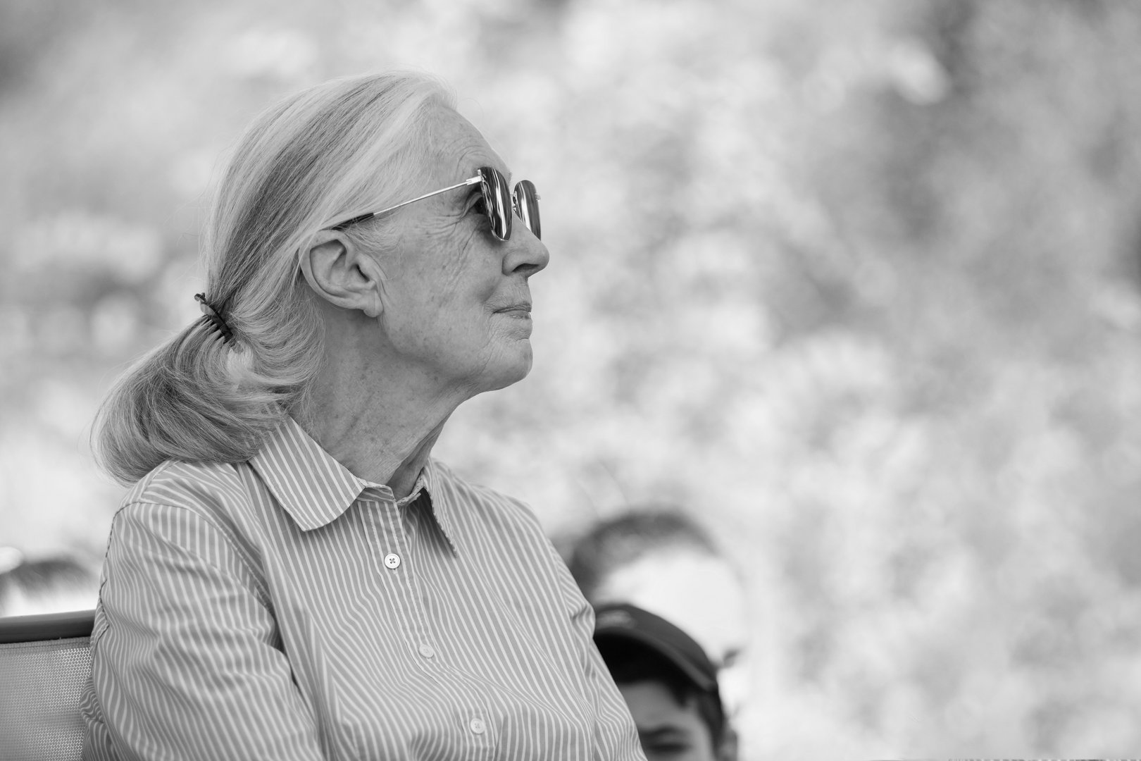 Jane Goodall († 91): Ein Leben im Dienst der Tiere