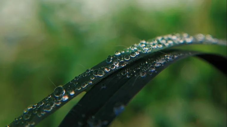 e0f5407484663558320699362bb9c6036c060de3 Monsun