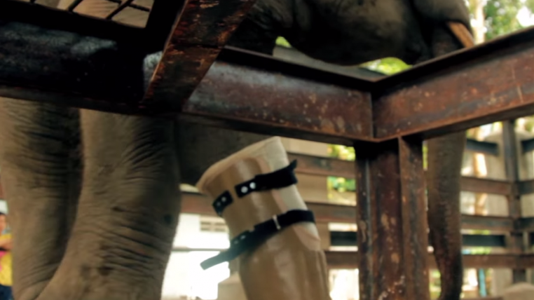 prothesenelefant.png