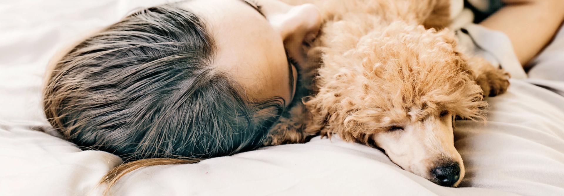 hund-mensch-krankheiten-ansteckend.jpg