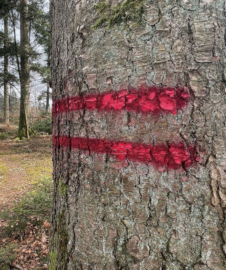 Zwei horizontale Striche zieren den Lieblingsbaum – wird er nun gefällt? Nein, diese Graffiti bezeichnet den Gassenrand.