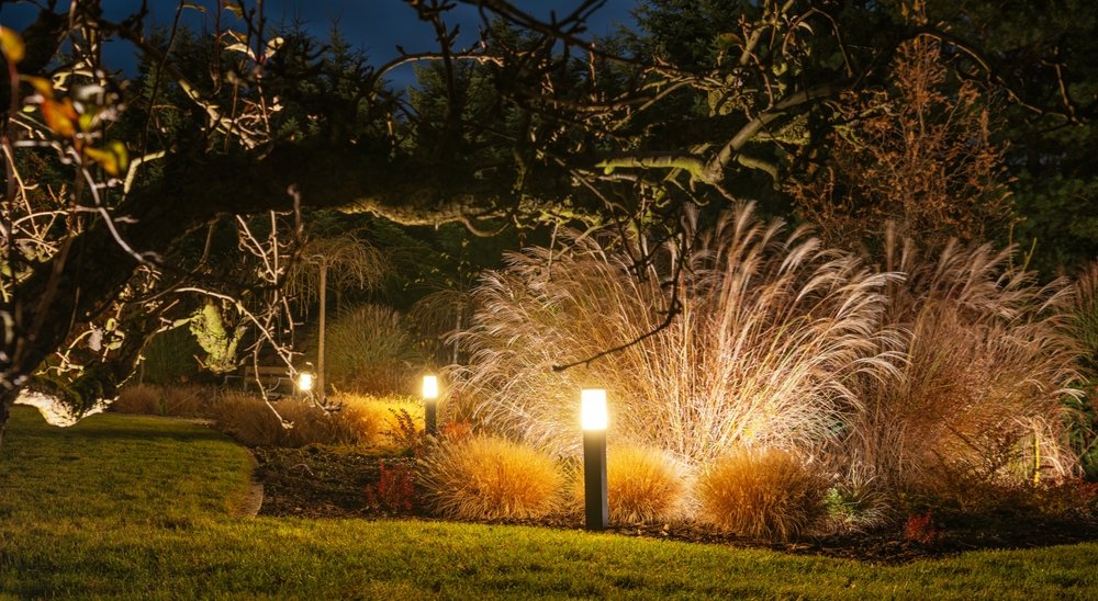 Lichtverschmutzung: 10 Millionen Insekten sterben jede Sommernacht