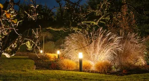 In jeder Sommernacht sterben etwa 10 Millionen Insekten durch Aussenbeleuchtung.