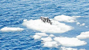 Forschungsergebnisse, die auf der letzten Eiszeit basieren, lassen nichts Gutes erahnen: Die Erde erwärmt sich schneller als angenommen.