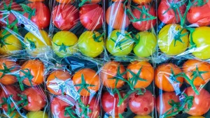Über 80 Prozent des Bio-Gemüses ist im Schweizer Detailhandel in Plastik verpackt, sagt eine Studie der Stiftung Konsumentenschutz.