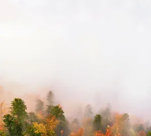 Auch Nebel kann ein Indikator für hohe Feinstaubemissionen sein.