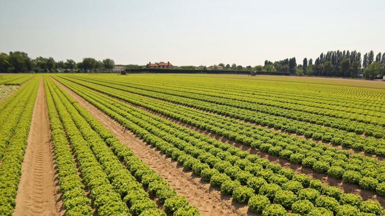 intensive-landwirtschaft-zerstoert-umwelt.jpg