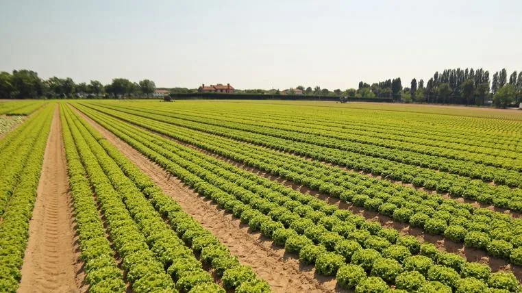 5983814d104c179b57f5f1d22fc239646e2c5514 intensive-landwirtschaft-zerstoert-umwelt.jpg