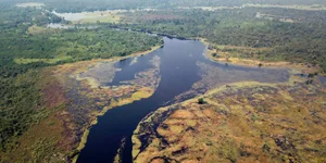 Der Ruki ist ein Zufluss des Kongo und der wohl schwärzeste Fluss der Welt.