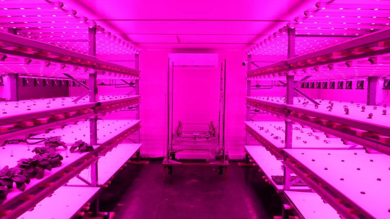 Das Robotic Vertical Farming Projekt
