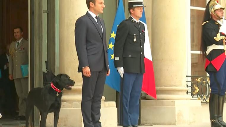 Emmanuel Macron und Hund Nemo