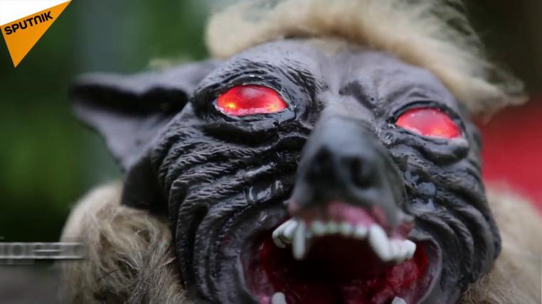 wolf-thumbnail.jpg