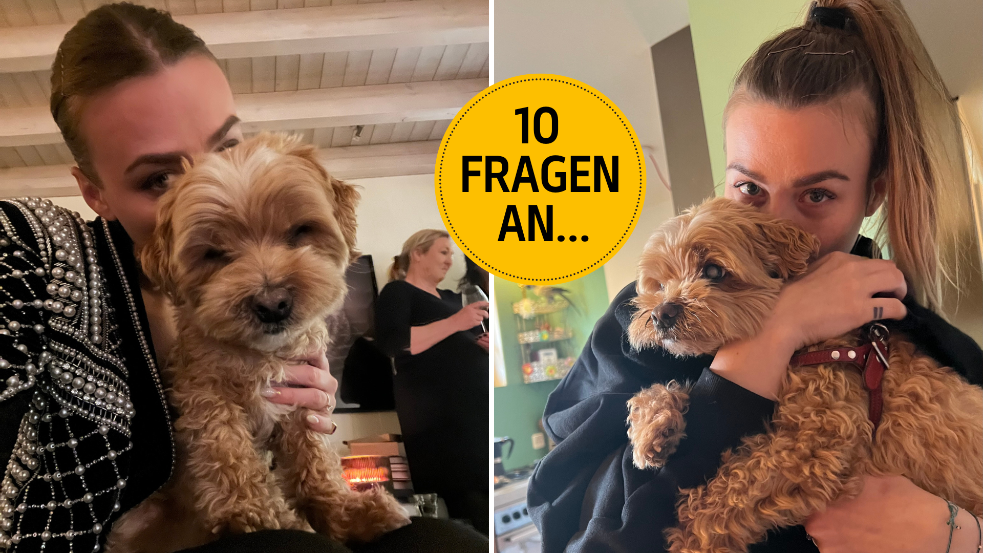 Hund Muffin ist die grosse Liebe von Ex-Miss-Schweiz Dominique Rinderknecht