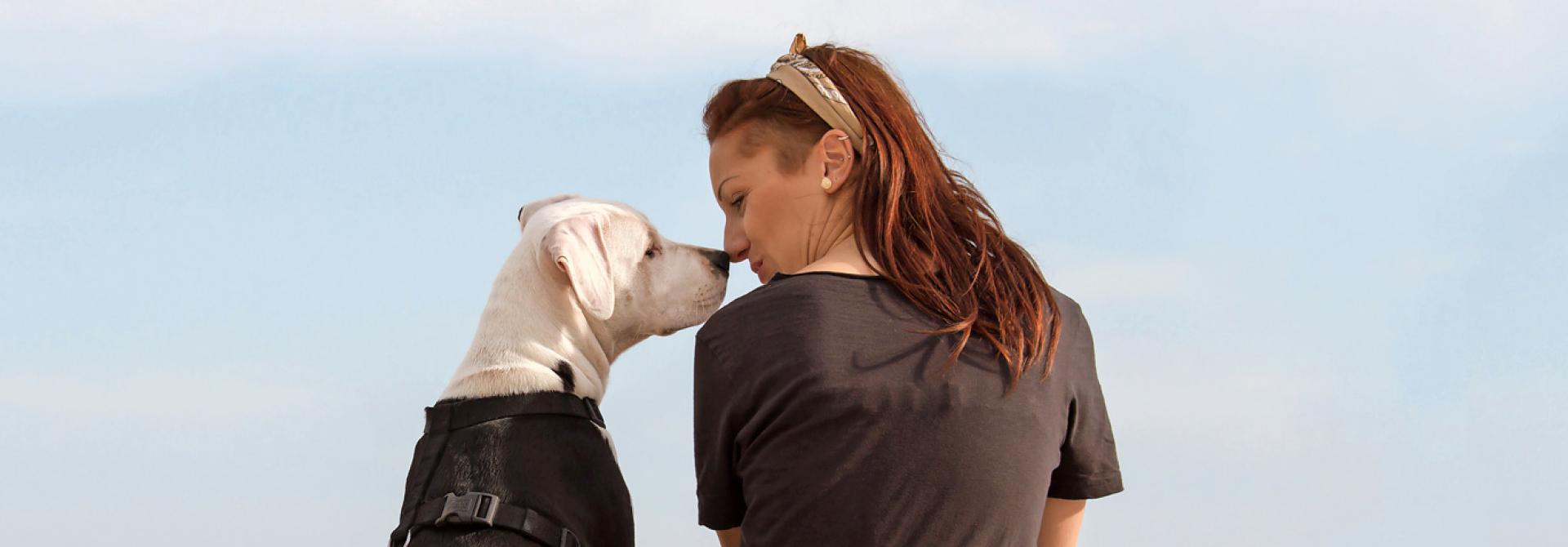 helikopter-halter-hunde.jpg