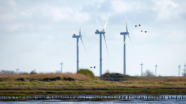Windpark