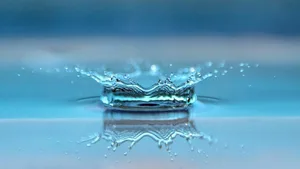 Der Bundesrat hat sich gegen die Trinkwasserinitiative ausgesprochen.