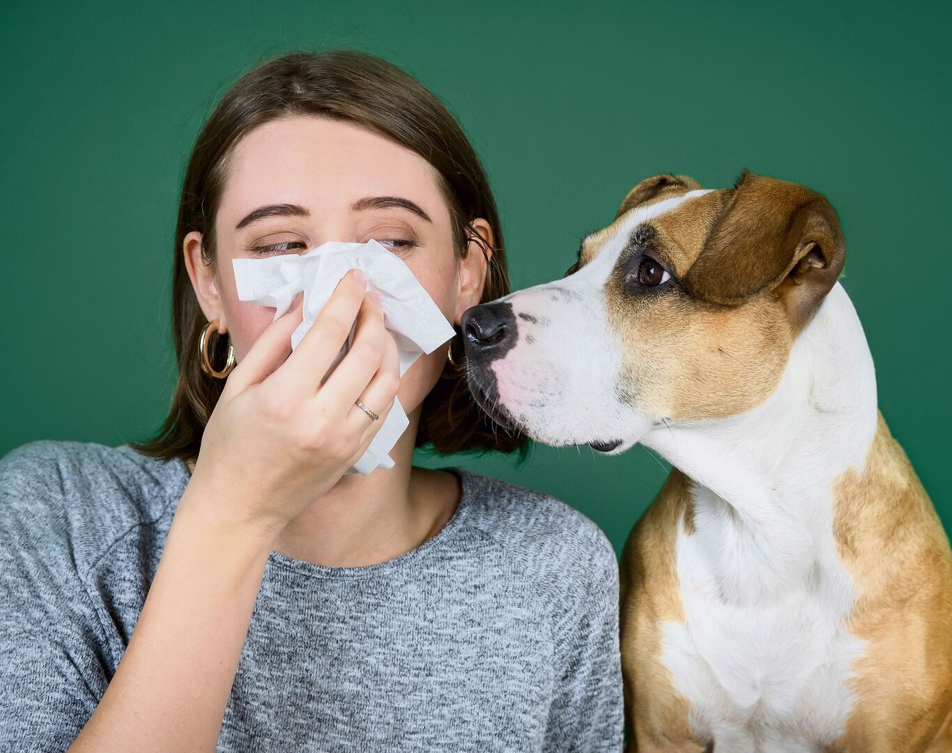 Vollkommen auf den Kontakt mit den geliebten Vierbeinern zu verzichten, ist für viele Tierallergikerinnen keine Lösung,auch wenn dies oft von Ärzten empfohlen wird.