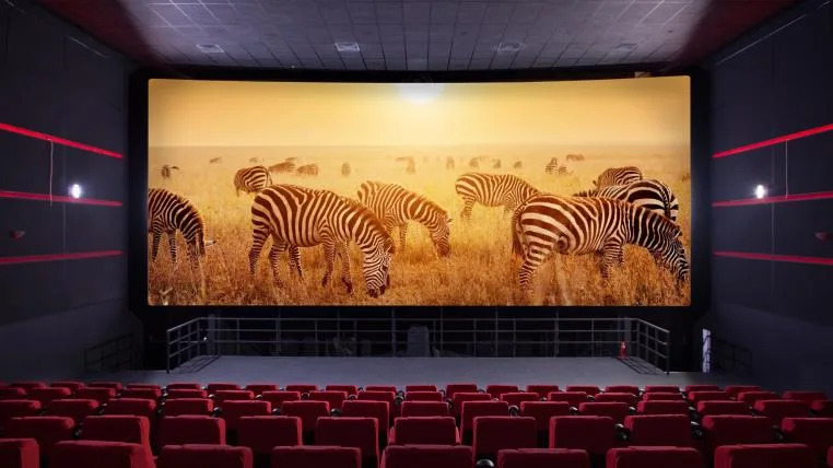 96bdd1a436d9020bd83fbec86f5d453b30f28c83 Zoo im Kino