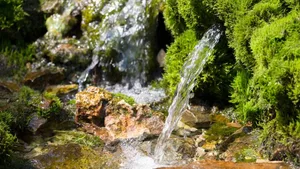 In jeder achten Aargauer Gemeinde befindet sich Chlorotalonil im Trinkwasser. Bei Menschen erhöht das Pestizid das Krebsrisiko.