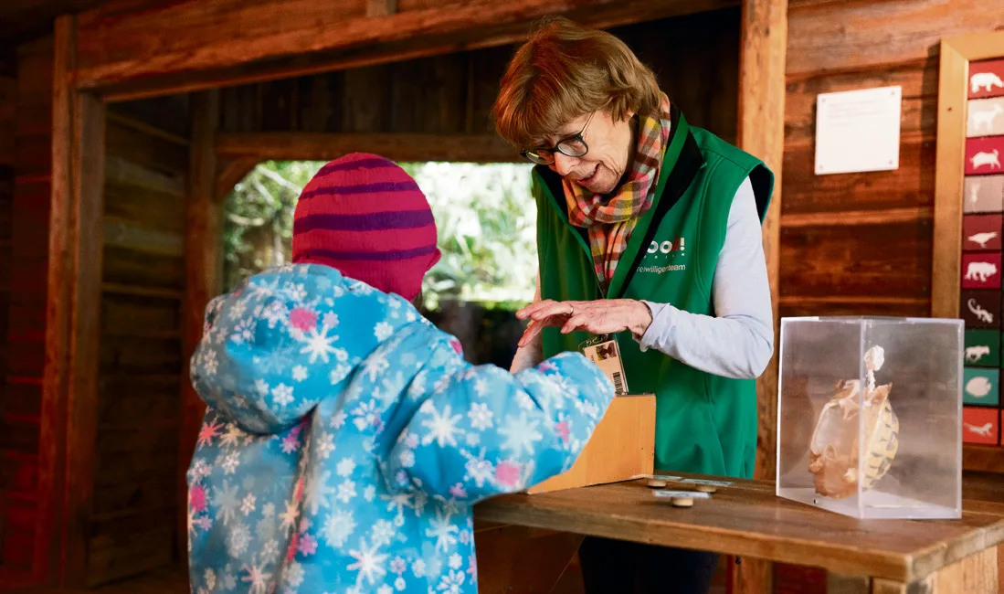 zoozuerich Wie Sie sich ehrenamtlich in Schweizer Zoos engagieren können