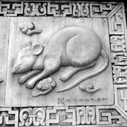 06-ratten-china.jpg