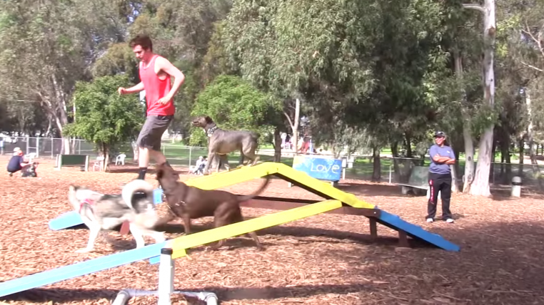 hundepark.png