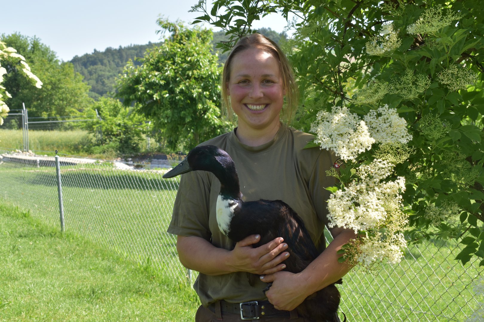 Mit Pommernenten zum Lebenstraum: Anja Tschannen aus Pensier (FR) erhält alte Nutztierrassen