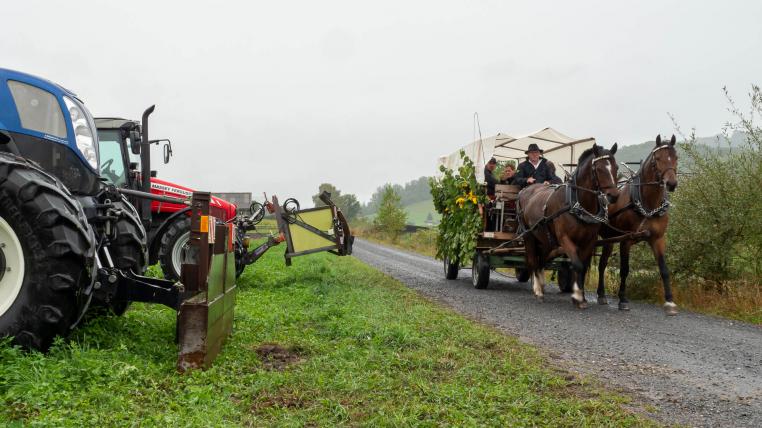 Rösslikutsche am «Tag der offenen Hoftüren»